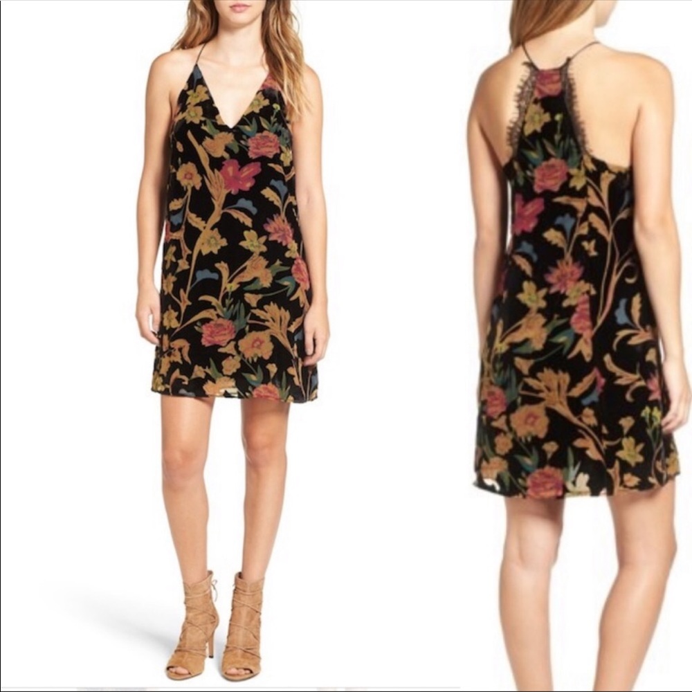 Astr Floral Velvet Slip Dress